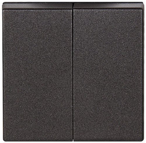 Лицевая панель Jung EcoProfi для 2-кл. выключателя антрацит фото Лицевая панель Jung EcoProfi для 2-кл. выключателя антрацит картинка